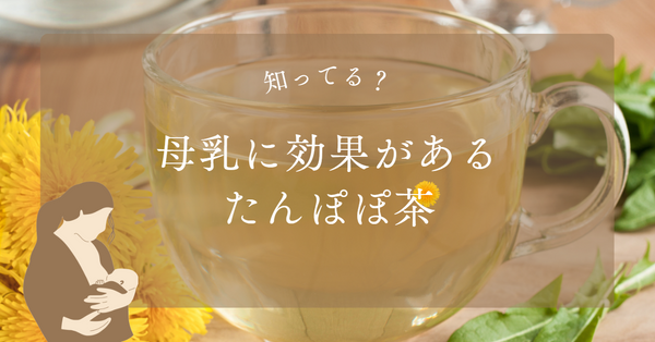 母乳に効果のあるたんぽぽ茶って知ってる？