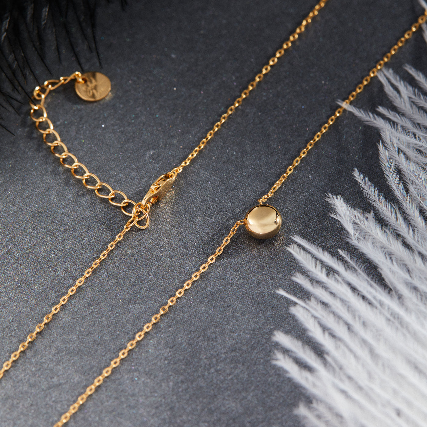 JOY Pets – Solid Love