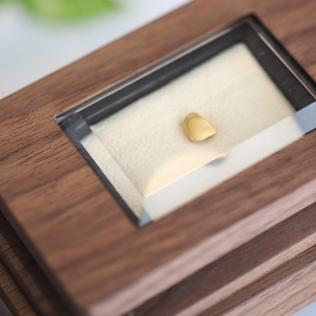 金乳歯(前歯・ディスプレイタイプ）※金乳歯の素材費用は別途