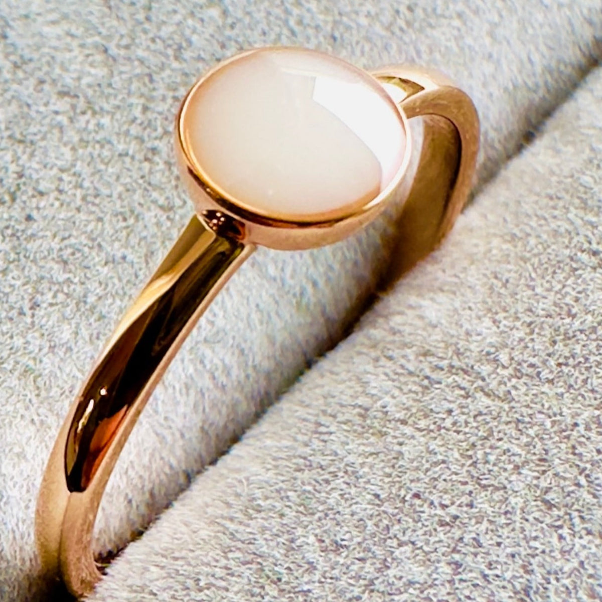 IMG-2682_1200x.jpg?v=1699936891